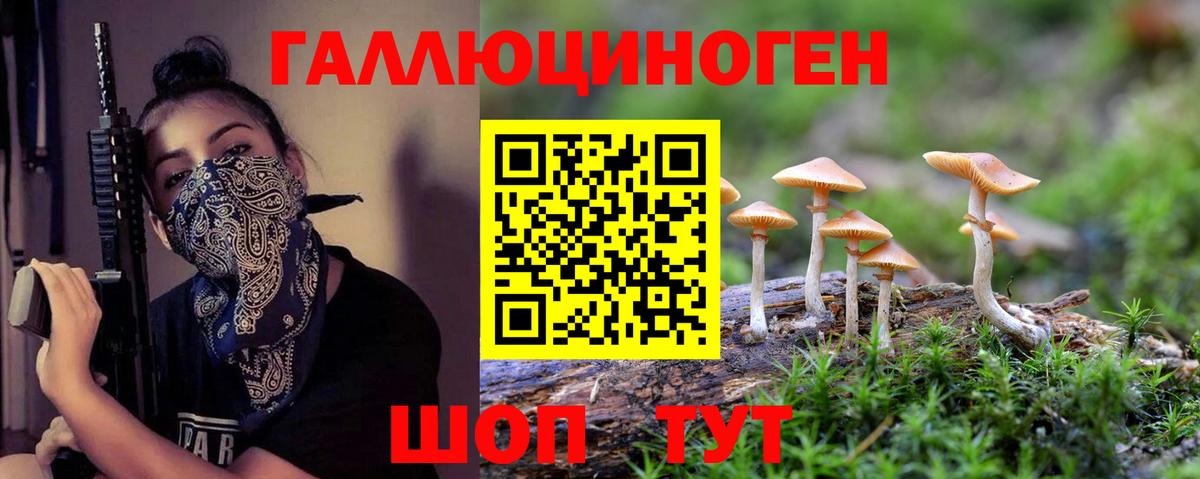 Галлюциногенные грибы Cubensis  Вход с VPN  Балабаново 